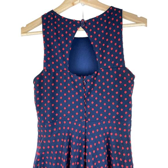 Anthropology Eva Franco Maryanne Size 2 Blue Red Polka Dot Ruffle Dress - Picture 3 of 8